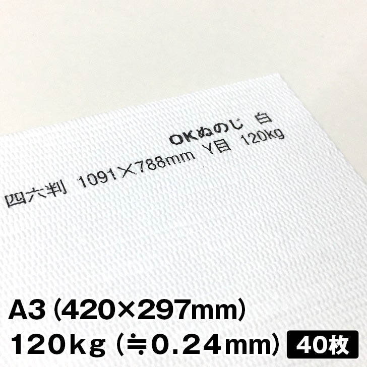 OKぬのじ 120kg A3 40枚|ファインペーパー 特殊紙布地 ファンシーペーパー 特殊紙 凸凹 落ち着いた色目 エンボス 和風 白 布地模様