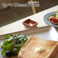 https://thumbnail.image.rakuten.co.jp/@0_mall/maruri-tamaki/cabinet/item/steamplate/t-909850.jpg