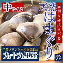 【送料無料】 九十九里産 活中はまぐり 【国産 中サイズ 容量が選べる】 1kg 2kg 3kg 5kg 10kg 酒蒸し お吸い物 BBQ お祝い 雛祭り お...