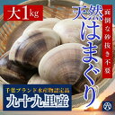 【送料無料】国産 大はまぐり 千葉県九十九里産 (1kg)大きい国産はまぐり、ぷりっ。海の旨み、丸ごと。「贅沢お吸い物」「酒蒸し」「BBQ」「お中元」「お食い初め」「雛祭り」だし巻き玉子との食べ合わせも良好。特大のハマグリです(送料無料※北海道・九州・沖縄を除く)