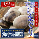 【送料無料】国産 大はまぐり 千葉県九十九里産 (2kg)大きい国産はまぐり、ぷりっ。海の旨み、丸ごと。「贅沢お吸い物」「酒蒸し」「BBQ」「お中元」「お食い初め」「雛祭り」だし巻き玉子との食べ合わせも良好。特大のハマグリです(送料無料※北海道・九州・沖縄を除く)