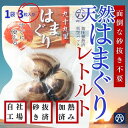【送料無料】九十九里産 レトルトはまぐり3粒入り(1粒60〜80g)加熱済 真空パック|お吸い物 酒蒸し BBQ お中元 お食い初め 敬老の日 はまぐりラーメン...