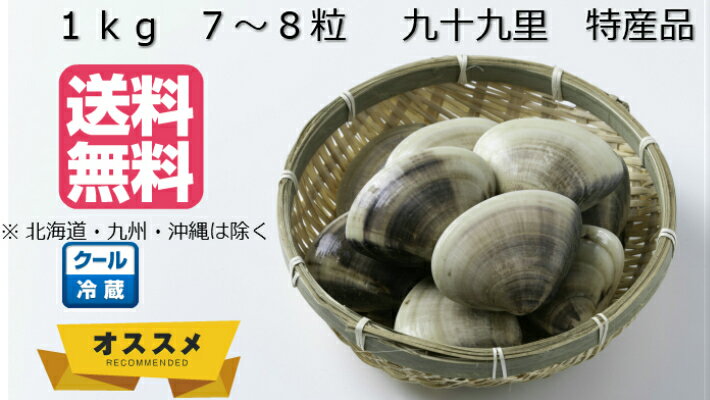 千葉県 九十九里産 天然大はまぐり 3kg ハマグリ はまぐり 貝類 蛤 ハマグリ 天然 国産 特産 バーベキュー 海鮮 七五三 雛祭り 祝い 母の日 父の日 お中元 お歳暮 ギフト 株式会社丸六送料無料 北海道 九州 沖縄を除く