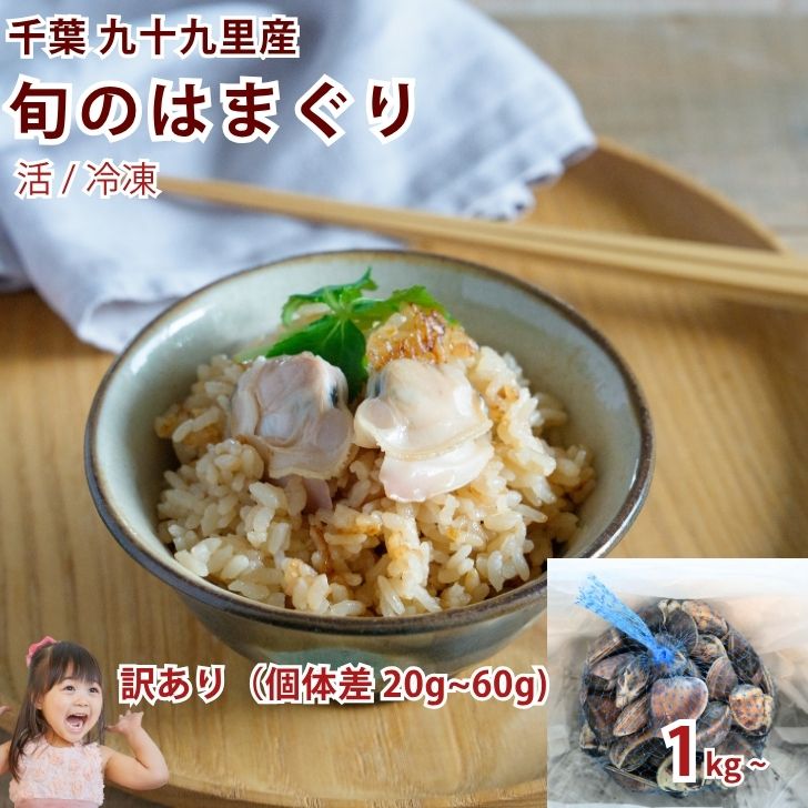 5/1限定+P2倍【送料無料】国産 九十九里 活 / 冷凍 旬のはまぐり1粒 20~60g(個体差有り) 1~3kg 出汁用 はまぐり 稚貝 ぜんな 蛤 ハマグ..