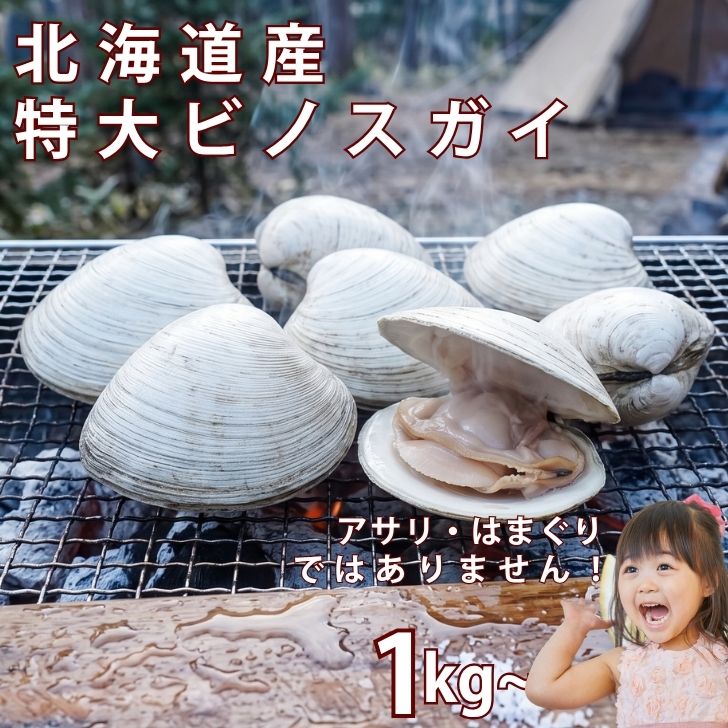北海道産 超特大 ビノスカイ 天然 二枚貝 酒蒸し クラムチャウダー 焼き貝 BBQ バーベキュー アウトドア キャンプ飯 送料無料 (北海道 九州 沖縄除く) お中元 キャンプ 貝