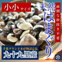 【送料無料】九十九里はまぐり 小小サイズ 【活ゼンナ 1kg〜5kg】(アサリサイズの蛤)|酒蒸し お吸い物 カレー BBQ パスタ 海鮮 旬 貝類 グルメ お...