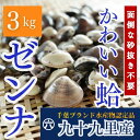 【送料無料】 活ゼンナ3kg(アサリサイズの蛤)九十九里はまぐり|酒蒸し お吸い物 カレー BBQ パスタ 旬の貝 グルメ 海鮮 お取り寄せ だし巻き卵とも食べ合わせ良好(※送料無料:北海道・九州・沖縄を除く)例年通りお手頃【出荷可能日:7/8 ~7/13、7/22~7/30】