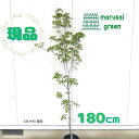 商品画像3