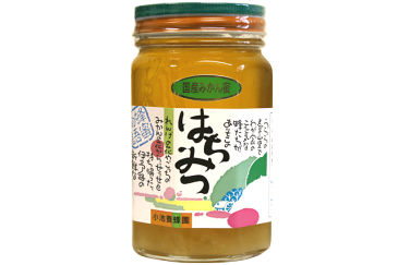 【H】愛媛みかん はちみつ 500g【パンケーキ】