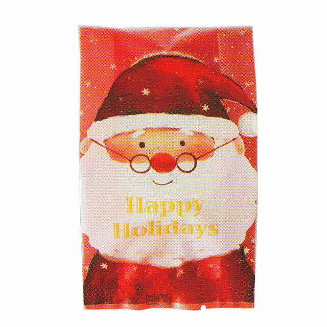 OPPマチ付バッグ ルネッタプッチS 10枚