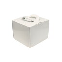 H178 TSD スペースデコ 白無地 6寸 (アルミトレー付) 1枚