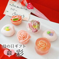 楽天ランキング1位 母の日ギフト　-彩-　上生菓子　ギフト　和菓子　母の日 おしゃれ　かわいい プレゼント カーネーション　薔薇　バラ インスタ映え スイーツ 送料無料 創業1822年老舗の和菓子