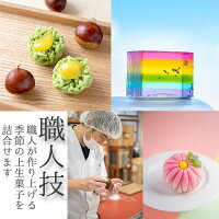【冷凍配送】季節の上生菓子おまかせ6個セット和菓子上生菓子