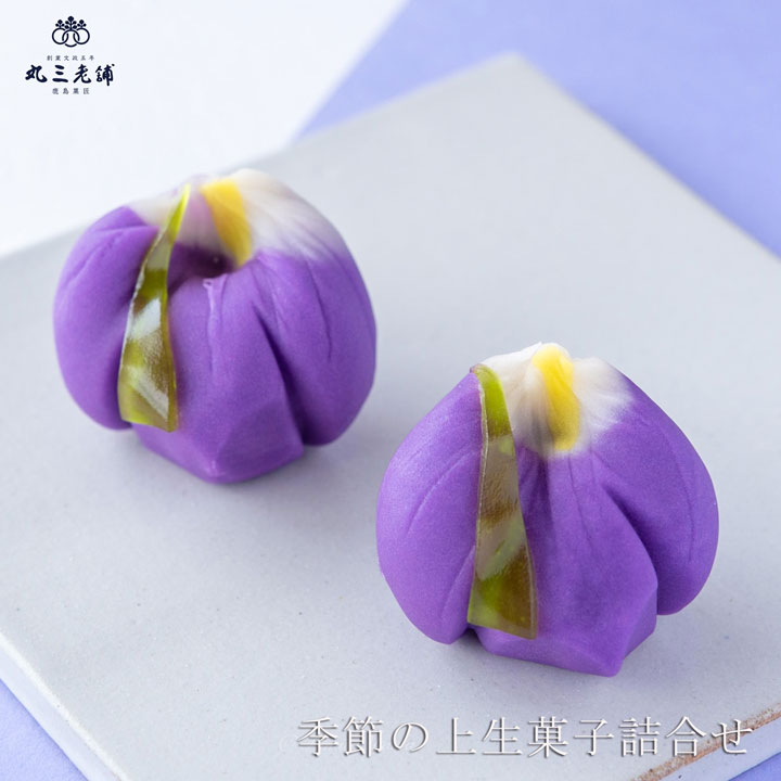 丸三老舗 季節の上生菓子おまかせ6