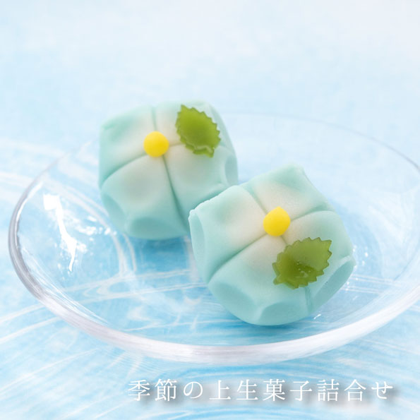 丸三老舗 季節の上生菓子おまかせ6個セット [ 父の日 和菓子 詰め合わせ ギフト 練り切り あんこ ゼリー 高級 お取り寄せ ラッピング 内祝い プレゼント スイーツ お茶請け 送料無料 お誕生日 ]