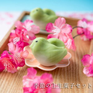 バレンタイン 和菓子 季節の上生菓子おまかせ6個セット ギフト 手作り 職人 ギフト 和菓子 老舗 練り切り プレゼント かわいい おしゃれ 人気 お取り寄せ スイーツ グルメ お供え ラッピング 内祝い 御祝 お誕生日 御礼 高級 インスタ映え チョコ以外