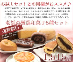 創業194年老舗の厳選和菓子6種セット【送料込】お試しラッピング父の日お誕生日プチギフト和菓子ギフト【SMTB】【RCP】【0501_free_f】