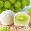 丸三老舗 極（きわみ）マスカット大福 3個入り 1箱 ≪専用箱入≫ ホワイトデー 和菓子 フルーツ大福 シャインマスカット ギフト お祝い 内祝い お返し 高級 スイーツ お取り寄せ ラッピング お誕生日 手土産 【条件達成でポイント10倍】