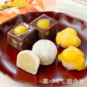 丸三老舗 特選 栗づくし詰合せ 3種6個入 1箱 和菓子 プレゼント 手作り 栗 ギフト 高級 お取り寄せ セット 詰め合わせ 敬老の日 お歳暮 【送料無料】