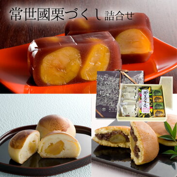 和菓子 常世國栗づくし詰合せ 羊羹 保存 長い お祝 お礼 手作り 老舗 詰め合わせ プレゼント お取り寄せ スイーツ グルメ お供え ラッピング 内祝い 御祝 お誕生日 御礼 ギフト お茶菓子 高級 栗 おしゃれ ホワイトデー チョコ以外 お家【常温配送】
