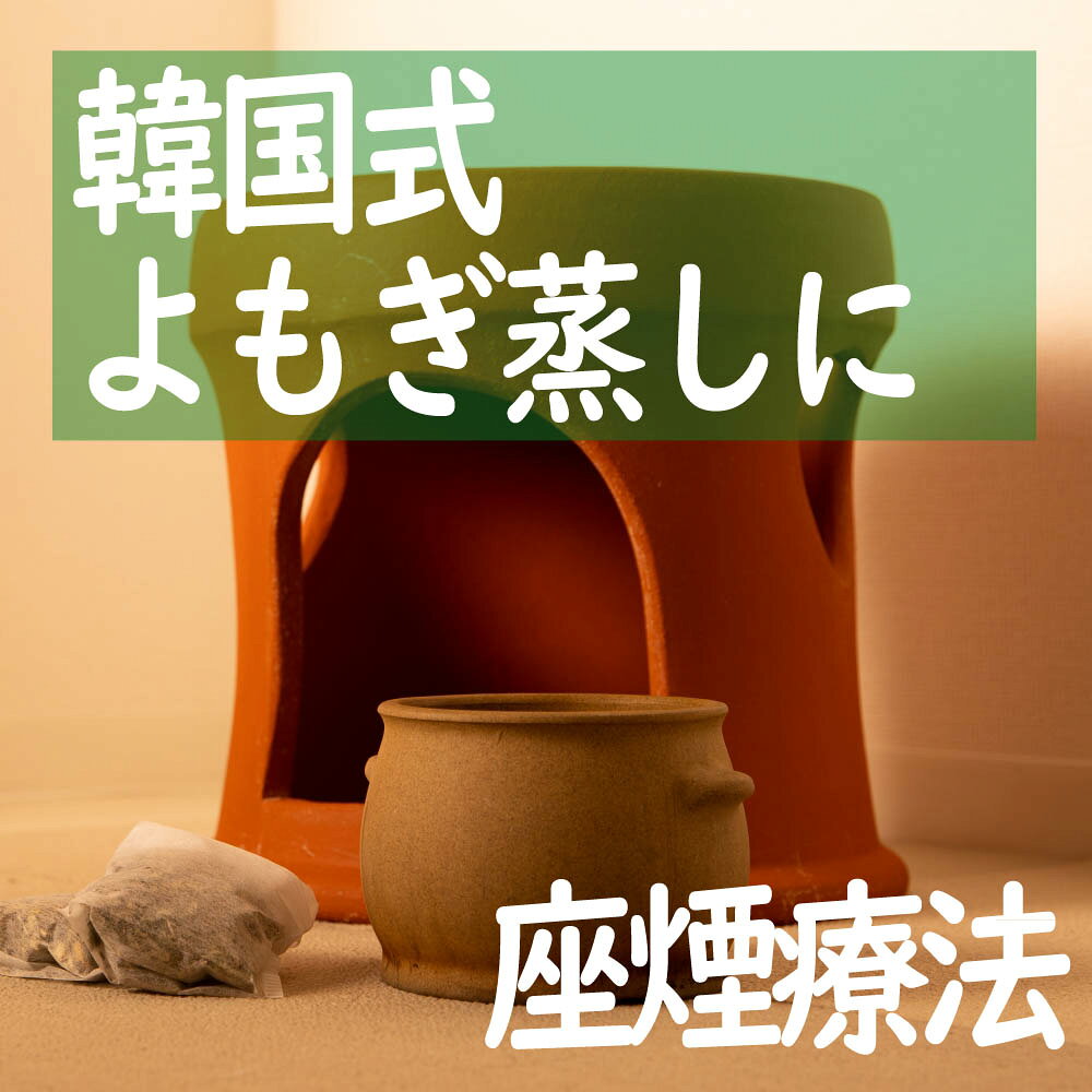 株式会社湧川商会 公式ストアのよもぎ茶 乾燥葉 琉球乾燥ヨモギ50g×2袋 沖縄県産 フーチバー使用 国産 韓国式 よもぎ蒸し よもぎ茶 沖縄にこにこ元気島 ブランド｜アングル3
