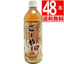 ごーやー茶 琉球アジアン ゴーヤー茶 500ml×48本 2ケース 【送料無料】 おなじみの琉球アジアンさんぴん茶と同じメーカーのゴーヤ茶 ペットボトル 沖縄限...