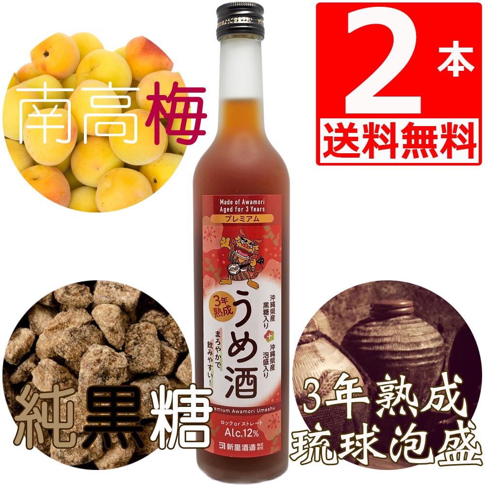 梅酒 島ー小ー 泡盛 黒糖梅酒 500ml×2本 湧川商会PB 熟成3年古酒仕込み 南高梅 沖縄県産純黒糖 Plum wine