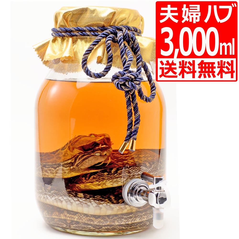 南都酒造 夫婦 ハブ入り ハブ酒 35度 3000ml 【送料無料】 泡盛 ベース+ハブ(蛇)+ハブエキス+13種類のハーブブレンド 蛇 沖縄旅行 沖縄お土産 贈答品 お祝いの ギフト にぴったり 飲食店 居酒屋 に置いておくと映えます。