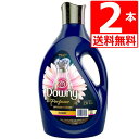 メキシコダウニーエレガンス リニューアル品 柔軟剤 Downy Elegance 2.6L×2本 【送料無料】 衣料用柔軟剤 人気のメキシコダウニー定番柔軟剤 メキシカンダウニー