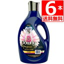 メキシコダウニーエレガンス リニューアル品 柔軟剤 Downy Elegance 2.6L×6本 衣料用柔軟剤 人気のメキシコダウニー定番柔軟剤 メキシカンダウニー