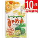 沖縄県産シークワーサー使用 シークワーサーみかん 80g×10袋 【送料無料】 沖縄美健販売 塩トマ ...