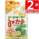 沖縄県産 シークワーサー 使用 シークワーサーみかん 80g×2袋  沖縄美健販売 塩トマトシリーズ ドライフルーツ