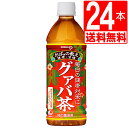 商品詳細 名称 グァバ茶　沖縄ポッカグァバ茶　500ml×24本[1ケース][送料無料] 原材料名 グァバ葉、柿の葉、ビタミンC 内容量 500ml×24本[1ケース][送料無料] 賞味期限 製造日より12ヵ月、注文日より起算して6ヶ月以上保証 保存方法 直射日光を避け、常温で保存してください 製造者 ポッカサッポロフード&ビバレッジ株式会社[愛知県名古屋市中区栄4丁目2番29号] 備考 沖縄で昔から飲まれ続けているグァバ茶。ポリフェノール含有、ノンカフェインで、健康維持にもおすすめです。沖縄限定発売。沖縄で昔から飲まれ続けているグァバ茶。ポリフェノール含有、ノンカフェインで、健康維持にもおすすめです。沖縄限定発売。