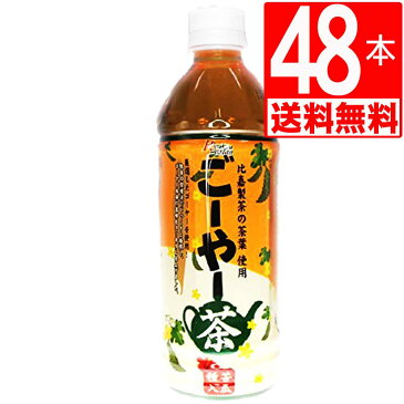 ごーやー茶　琉球アジアン　ゴーヤー茶　500ml×48本[2ケース][送料無料]　おなじみの琉球アジアンさんぴん茶と同じメーカーのゴーヤ茶です。　ペットボトル　沖縄限定品