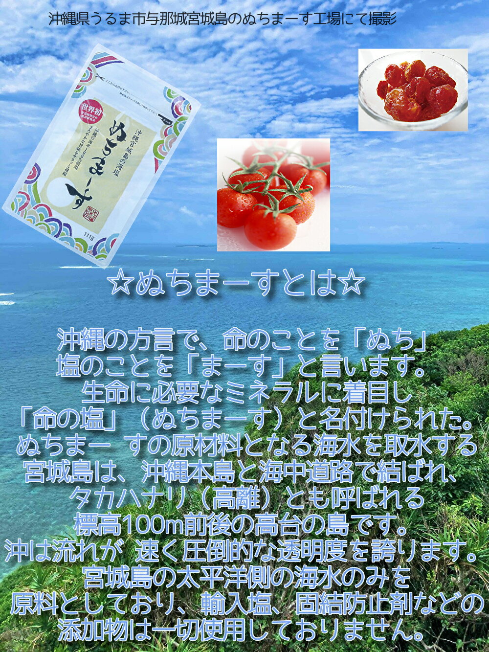 ドライトマト 沖縄県産 海水塩 ぬちまーす 仕上げ＋紀州産梅 梅 塩トマト 110g×2袋ドライフルーツ 2