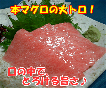 ◎1/7より順次出荷【税コミ価格】マグロ 大トロ（腹身） 750gUP まぐろ　とろ目利きの自信　財木品質★【mtg-kb】【業務用】