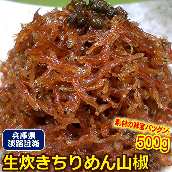 ＊兵庫県　淡路島近海産　ちりめん山椒　500g　佃煮　ジャコ　ちりめんじゃこ【業務用】