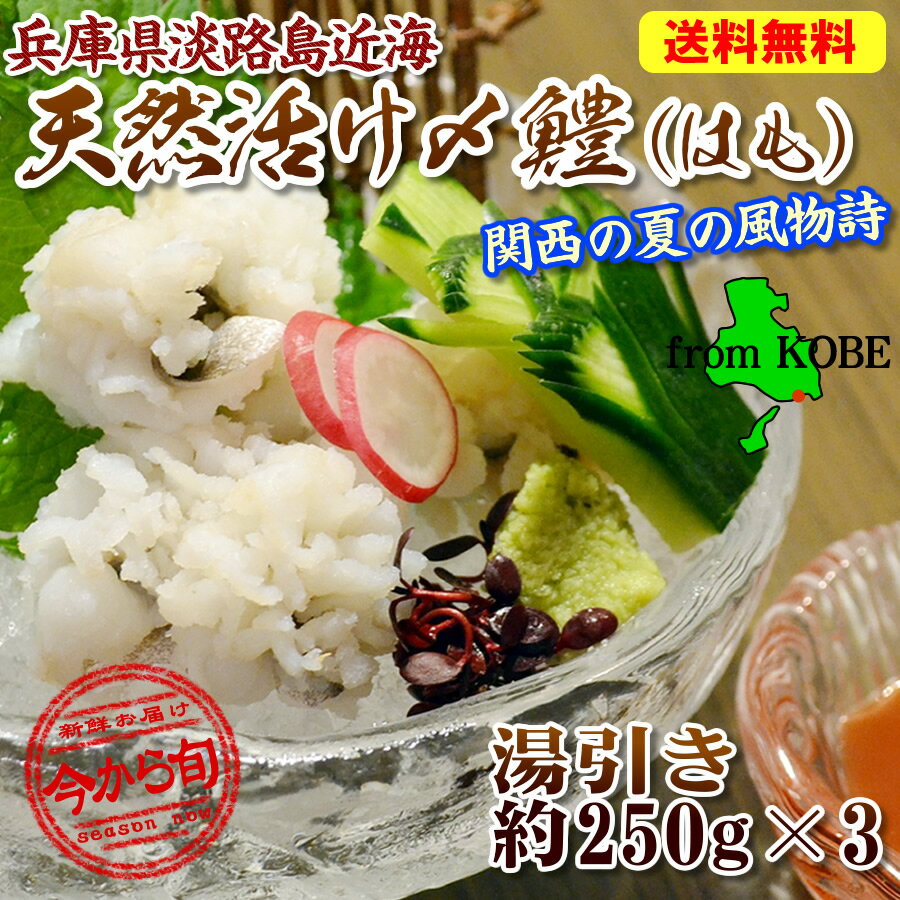 【送料無料】中央市場のプロ投票1位【神戸中央卸売市場でさばいて急速冷凍】これが最高の兵庫県淡路島産だ ワンフローズン 天然活〆 ハモ湯引き 加熱済 250g 3 1パックに梅肉と酢味噌各1袋サー…