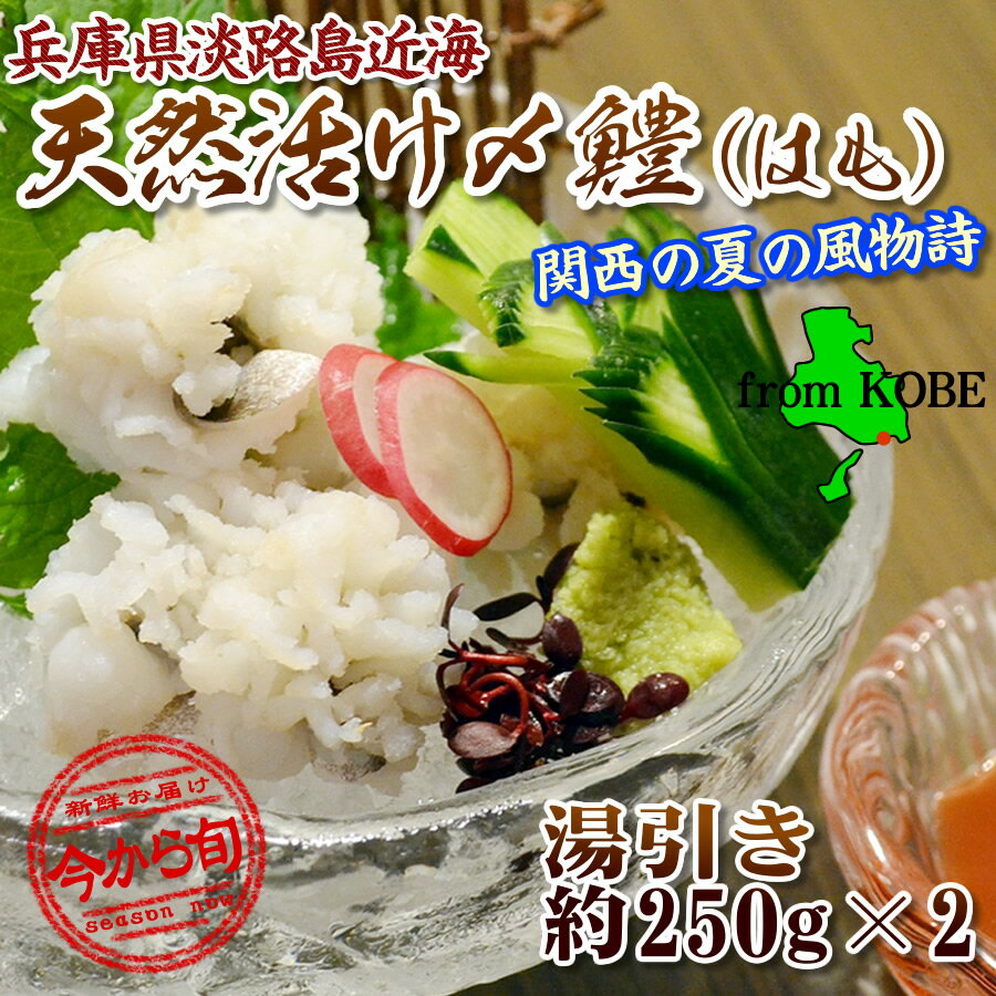 【魚河岸お勧め】中央市場のプロ投票1位【神戸中央卸売市場でさばいて急速冷凍】兵庫県淡路島産 ワンフロ ...