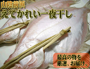 【島根県産】山陰の美味！前浜物えてかれい一夜干し5枚...