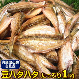 【ほっこり旨い】今度は日本海（山陰沖産）　豆ハタハタ一夜干し　1kg＜はたはた・加熱用＞【業務用】