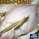 山陰の美味!肉厚♪ 前浜物えてかれい一夜干し。1尾からお試し頂けます!【カレイ】