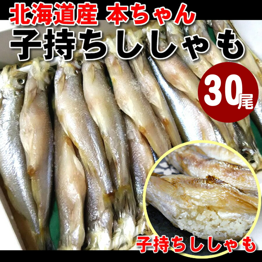 【数量限定】北海道日高産 本ちゃん子持ちシシャモ　メス　30尾入り本ししゃも　柳葉魚　天然　本物　ししゃも　本チャン