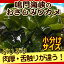 【まずはお試し 税コミ価格】早春獲れ!鳴門海峡の炭だきおさしみわかめ 130g【若布 ワカメ 海藻 鳴門わかめ】