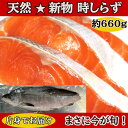 2025新物入荷しました!天然 新物時鮭(片身)約660g 時しらず 半身 トキシラズ ときしらず ときさけ【業務用】