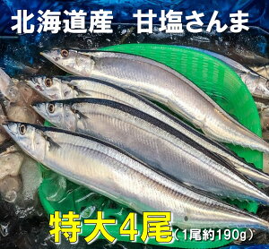 【広告の品！在庫限り】昨年漁獲の原料です (2021年物の中でも希少なビッグサイズをご用意しました）「 北海道産 甘塩さんま 4尾 」（サンマ 秋刀魚）