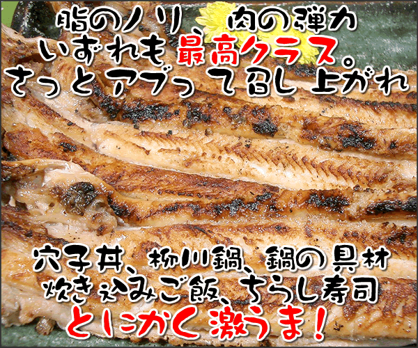 【送料無料】中央市場発【神戸中央市場手焼き】高級寿司店ご用達！焼き穴子500g（4尾～5尾平均）＊真空包装しています ★これは焼き穴子です！ふっくらした蒸し穴子や煮穴子ではございません。(業務用 あなご アナゴ 焼きあなご やきあなご 焼アナゴ 穴子寿司）