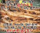 中央市場発高級寿司店ご用達！焼き穴子500g（4尾～5尾平均）＊真空包装しています ★これは焼き穴子です！ふっくらした蒸し穴子や煮穴子ではございません。(業務用 あなご アナゴ 焼きあなご やきあなご 焼アナゴ 穴子寿司）