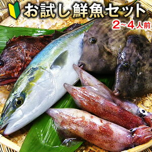 【送料無料】朝獲れ鮮魚お試しセット★五島列島より活〆鮮魚を直送★【3,480円】【税込】【smtb-ms】