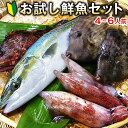 【送料無料】朝獲れ鮮魚お試しセット★五島列島より活〆鮮魚を直